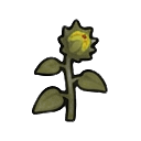 sunflower plant (70% matured) — RimWorld plant sprite
