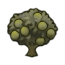 mature lime tree — RimWorld sprite