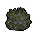mature guaraná — RimWorld sprite