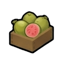 raw guavas — RimWorld sprite