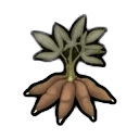 mature cassava — RimWorld sprite