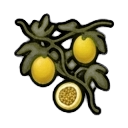mature passion fruit vine — RimWorld sprite