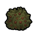 mature coffee bush — RimWorld sprite