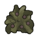 berry bush — RimWorld sprite