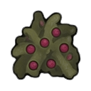 berry bush — RimWorld sprite