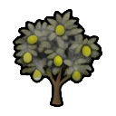 mature lime tree — RimWorld sprite