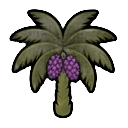 mature açaí palm — RimWorld sprite