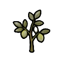 immature lime tree sapling — RimWorld sprite