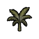 immature açaí palm seedling — RimWorld sprite