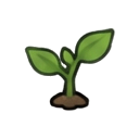 young guaraná seedling — RimWorld sprite