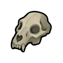 skull — RimWorld sprite