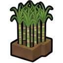 Sugarcane_Mature — RimWorld sprite