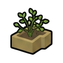 LimeBush_Immature — RimWorld sprite
