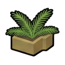 Acai_Immature — RimWorld sprite