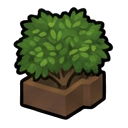 Guarana_Mature — RimWorld sprite
