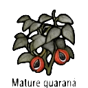 mature guaraná — RimWorld sprite