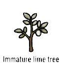 immature lime tree sapling — RimWorld sprite