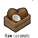 raw coconuts — RimWorld sprite