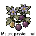 mature passion fruit vine — RimWorld sprite