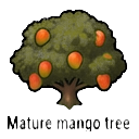mature mango tree — RimWorld sprite
