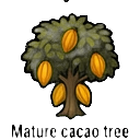 mature cacao tree — RimWorld sprite
