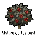 mature coffee bush — RimWorld sprite